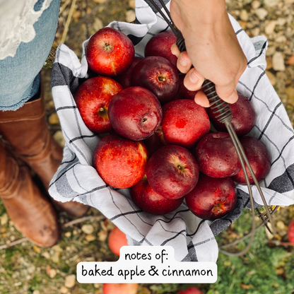 Wax Melts • Apple Picking •